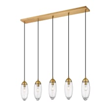 Arden 5 Light 42" Wide Suspension Linear Pendant