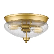 Amon 2 Light 13" Wide Flush Mount Ceiling Light with Seedy Glass