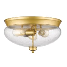 Amon 3 Light 15" Wide Flush Mount Ceiling Light with Seedy Glass