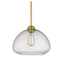 Amon 13" Wide Pendant with Clear Seedy Glass