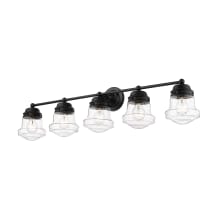 Vaughn 5 Light 41" Wide Bathroom Vanity Light with Clear Seedy Glass Shades