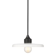 Paloma 14" Wide Pendant with Shade