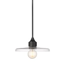 Paloma 14" Wide Pendant