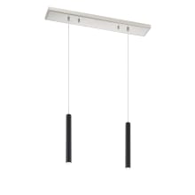 Forest 2 Light 30" Wide LED Linear Pendant with 12" Pendants