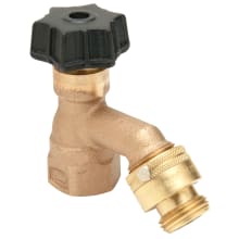 Exposed 3/4" Wall Faucet