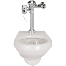 EcoVantage 1.6 GPF Wall Mounted One Piece Elongated Toilet with Hand Lever - Less Seat