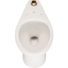 EcoVantage Elongated Toilet Bowl Only - Less Seat