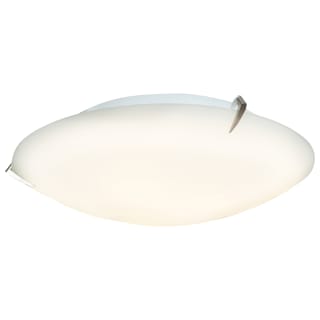 A thumbnail of the Access Lighting 20661 Brushed Steel / Opal