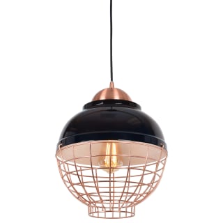 A thumbnail of the Access Lighting 24881 Shiny Black / Copper