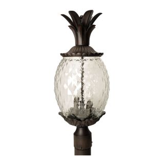 A thumbnail of the Acclaim Lighting 7517 Black Coral
