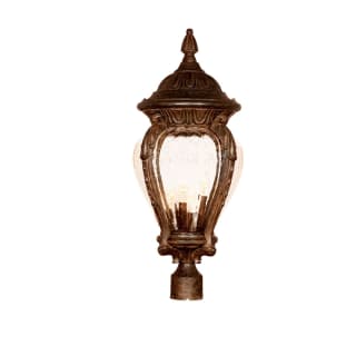 A thumbnail of the Acclaim Lighting 7017 Black Coral