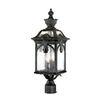 A thumbnail of the Acclaim Lighting 7117 Black Coral