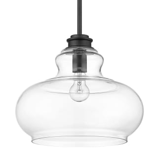 A thumbnail of the Acclaim Lighting IN21251 Matte Black