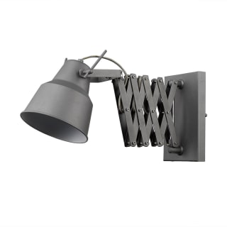 A thumbnail of the Acclaim Lighting TW40060 Gray
