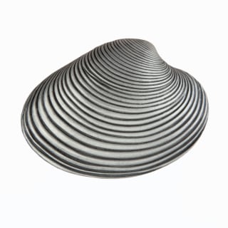 A thumbnail of the Acorn Manufacturing DP3 Antique Pewter