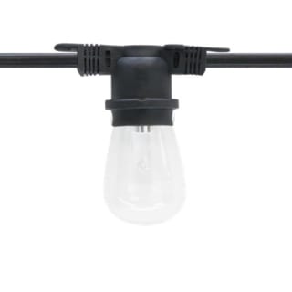 A thumbnail of the American Lighting LS-M-24-100-BK Black