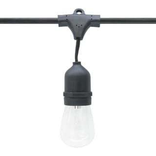 A thumbnail of the American Lighting LS-MS-24 Black