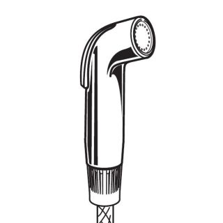 American Standard M953678 0020a Chrome Side Spray And Hose For