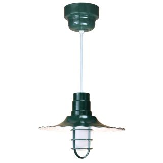 A thumbnail of the ANP Lighting R916-42-100GLFR-GUP-42-RWHC Forest Green