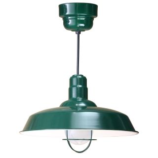 A thumbnail of the ANP Lighting W520-42-200GLFR-GUP-42-RBHC Forest Green