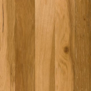 Armstrong Flooring Esp5230 Sample Butternut Performance Plus 5