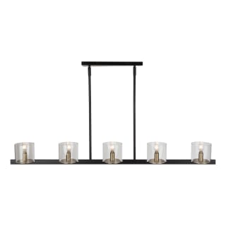 A thumbnail of the Artcraft Lighting AC11825 Black / Brass