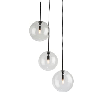 A thumbnail of the Artcraft Lighting SC13193 Black