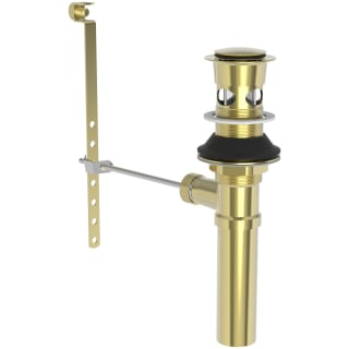 A thumbnail of the Brasstech 326 Forever Brass (PVD)