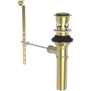 A thumbnail of the Brasstech 326 Satin Brass (PVD)