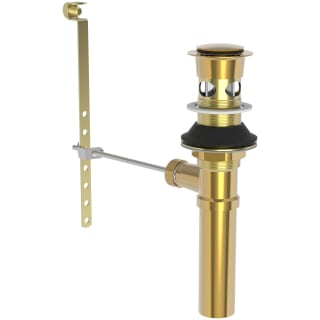 A thumbnail of the Brasstech 326 Polished Gold (PVD)