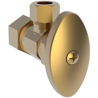 A thumbnail of the Brasstech 403 Satin Bronze (PVD)