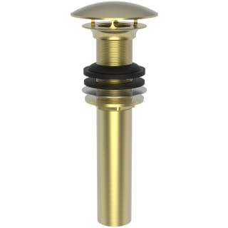 A thumbnail of the Brasstech 499-3 Satin Brass (PVD)