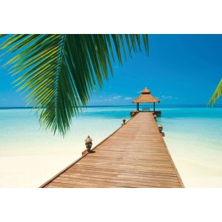 Beach Wall Mural brewster dm284 paradise beach paradise beach wall mural Beach Wall Mural brewster dm284 paradise beach paradise beach wall mural