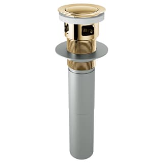 A thumbnail of the Brizo RP81628 Polished Gold