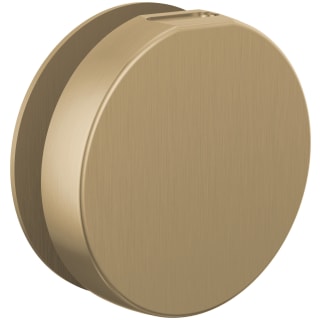 A thumbnail of the Brizo RP103313 Luxe Gold