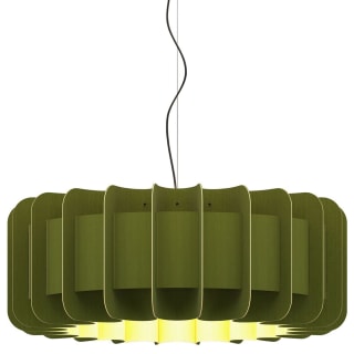 A thumbnail of the Bruck Lighting WEPCLA/A74 Black / Green
