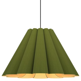 A thumbnail of the Bruck Lighting WEPLOR/70 Green / Ash