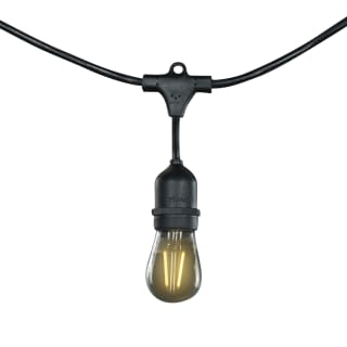 Bulbrite string lights sale
