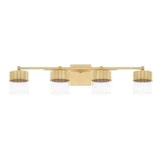 Regan vanity light cheap