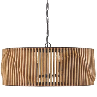 Capital Lighting 344664