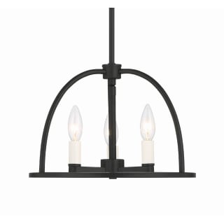 A thumbnail of the Crystorama Lighting Group ABB-3003 Black