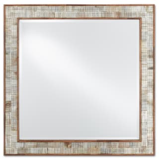 A thumbnail of the Currey and Company 1000-0069 Natural / Mirror