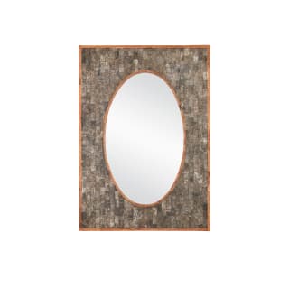 A thumbnail of the Currey and Company 1000-0155 Natural / Mirror