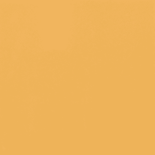 A thumbnail of the Daltile 4161L Mustard