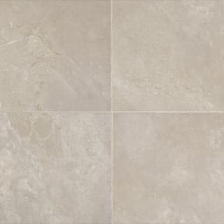 A thumbnail of the Daltile AF1212P Gray