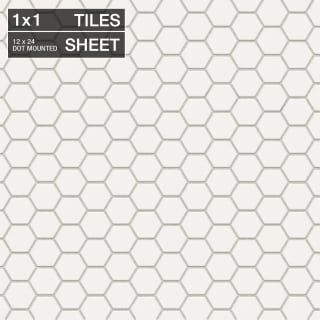 A thumbnail of the Daltile D1HEXMS Arctic White