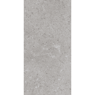 A thumbnail of the Daltile DR2448P Eminence Gray