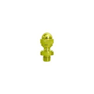 A thumbnail of the Deltana CHAT Polished Brass