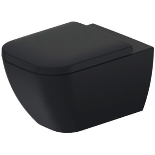 A thumbnail of the Duravit 222209-DUAL Anthracite