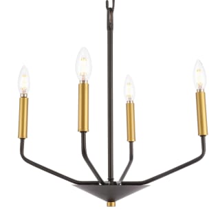 A thumbnail of the Elegant Lighting LD8023D18 Black / Brass